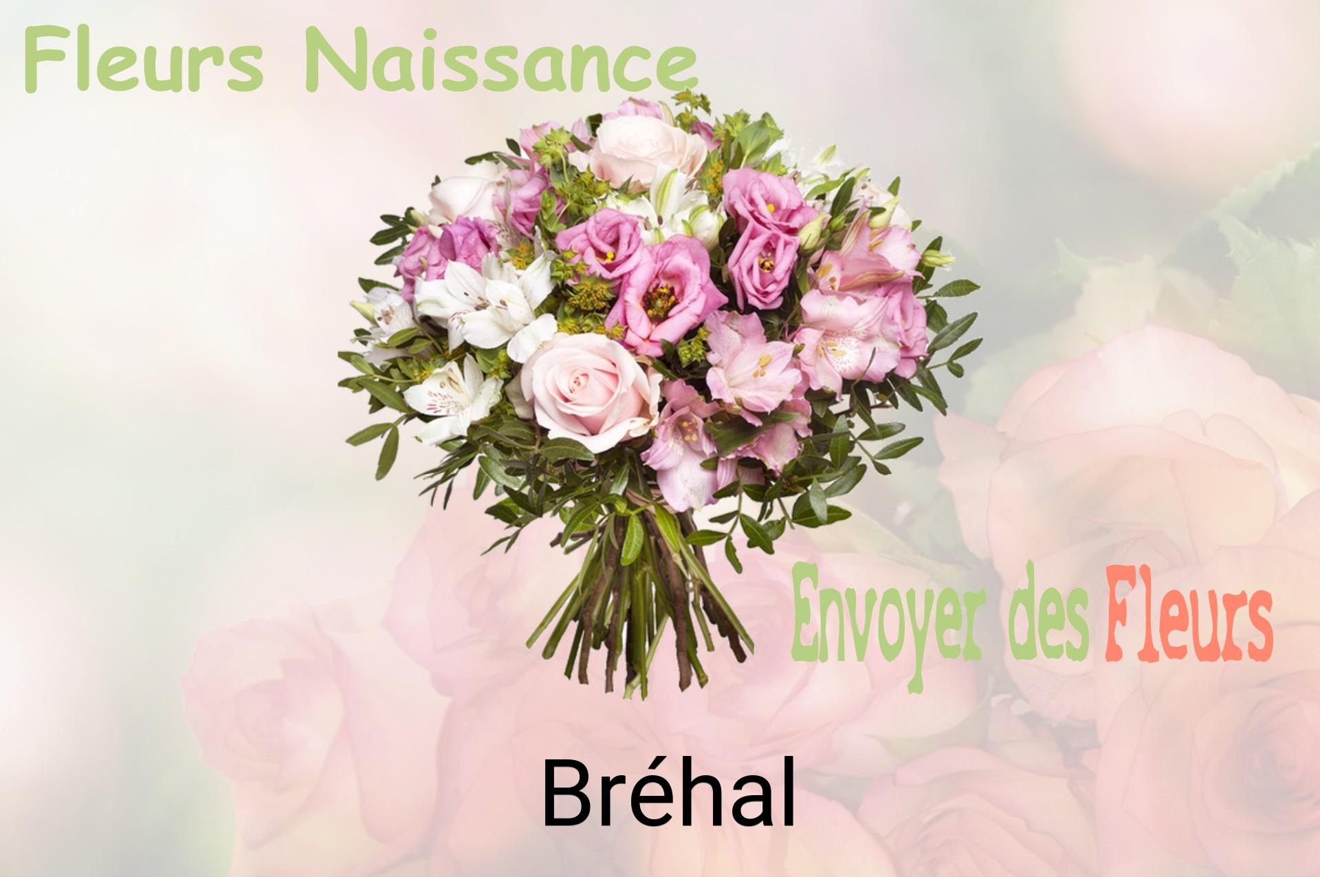 Bouquet de fleurs de naissance livré à Bréhal