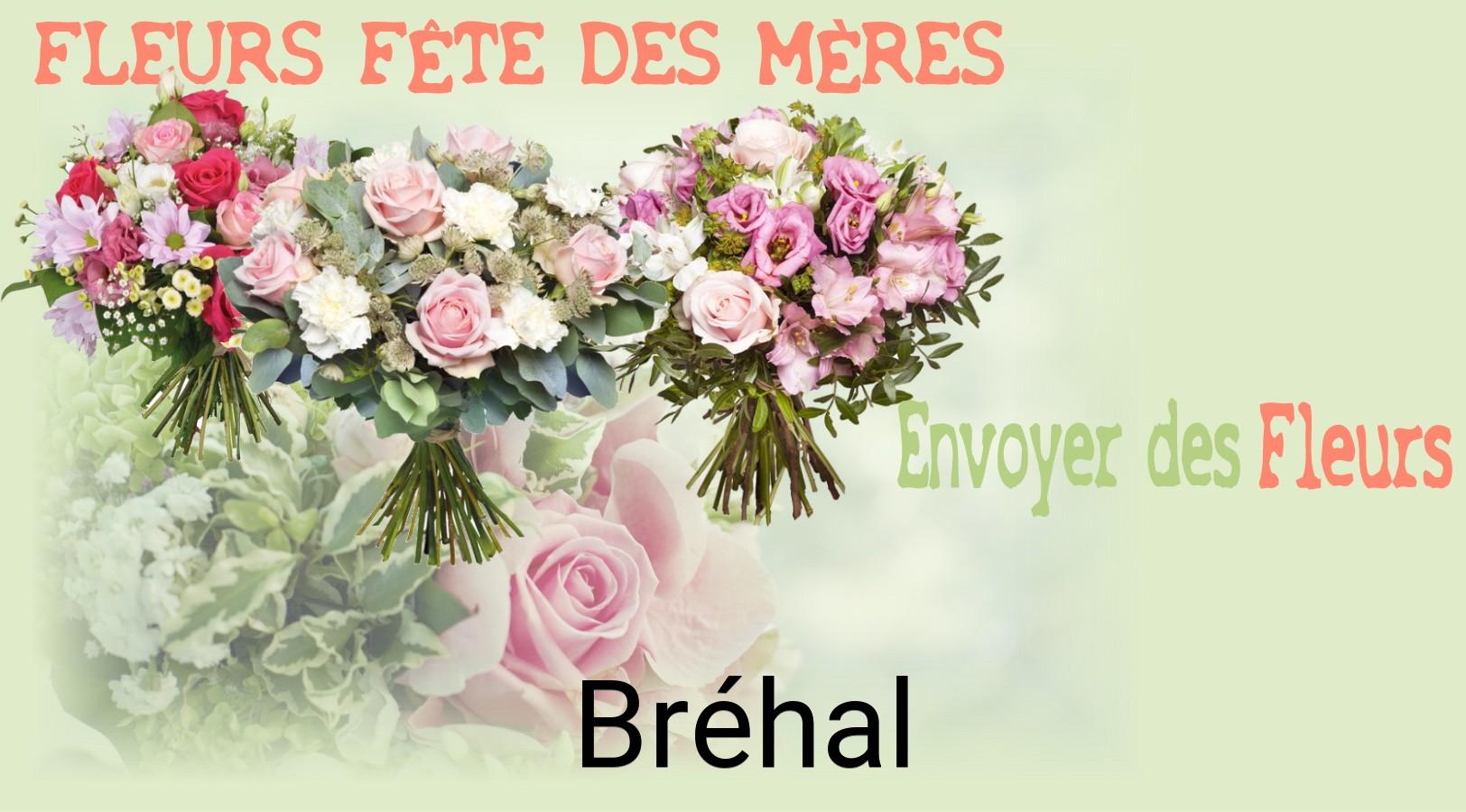 Bouquet de Fête des Mères livré à Bréhal